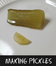 Making Pickles Pickles Of Wisdom