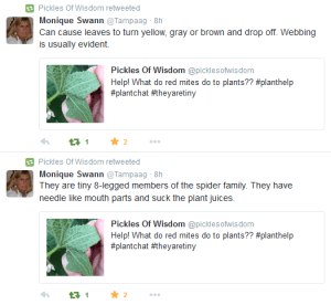 Twitter Mites Quotes Pickles Of Wisdom