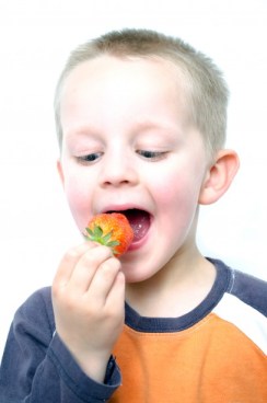 happy-little-boy-eats-strawberries-1368026333AgM