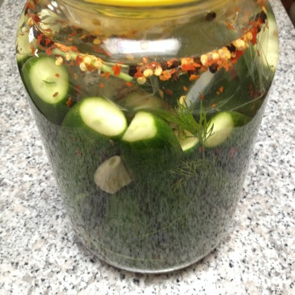 Done Pickles of Wisdom