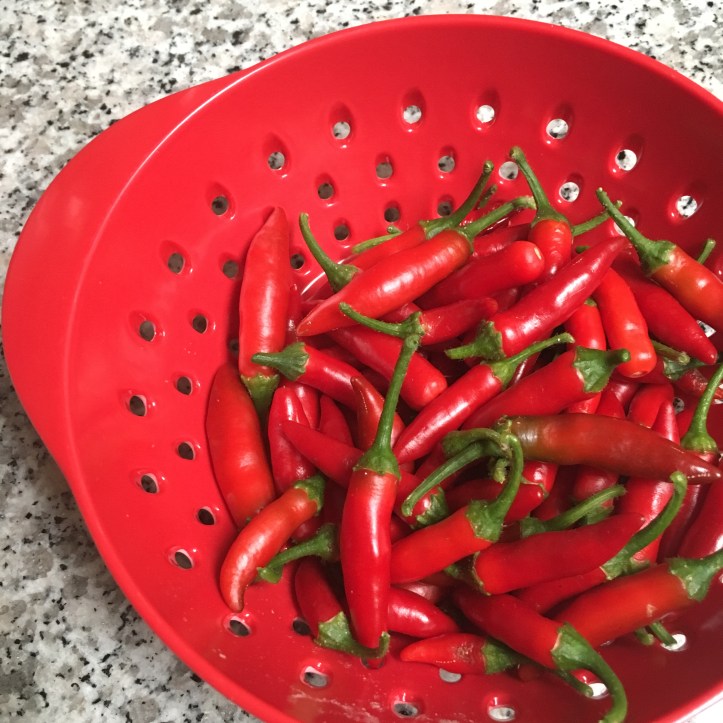 peppers in strawberry bowl